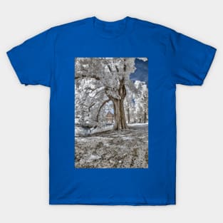 Infrared Creek T-Shirt